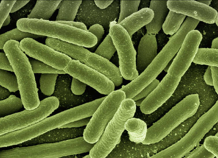 Infección en enfermedad reumatológica Enfermedad reumatológica