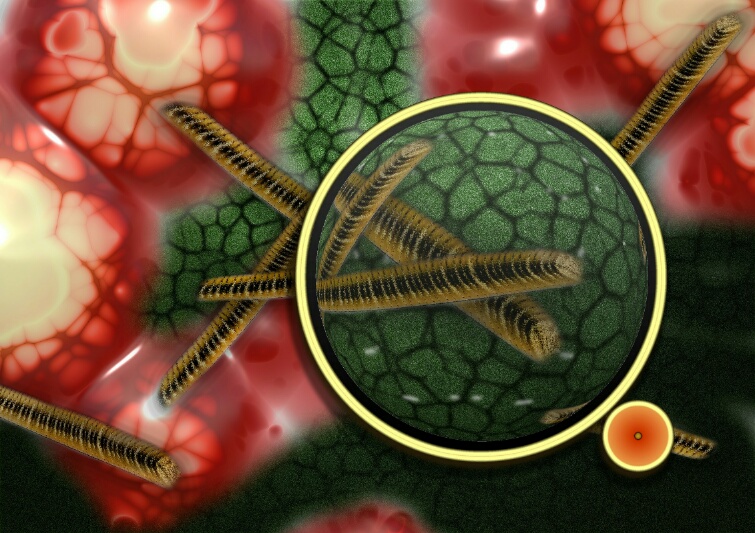 Etiología de la lumbalgia infecciosa
