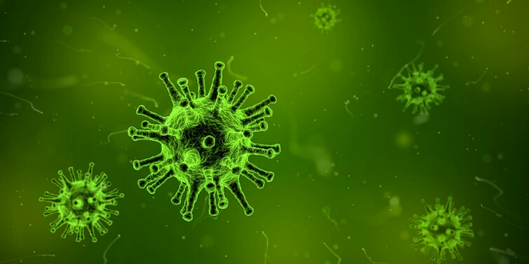 Origen desconocido del Lupus Lupus origen