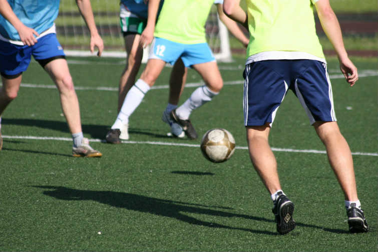Cápsula y ligamentos